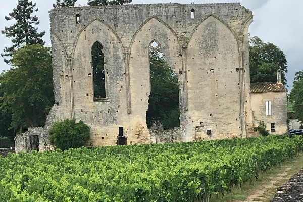 La notoriété supplante-t-elle la qualité des vins classés de Saint-Émilion ?   