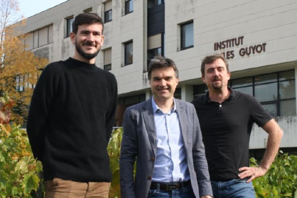 Ils géolocalisent dans le vignoble les risques de gel, coups de chaud, développement de maladies...