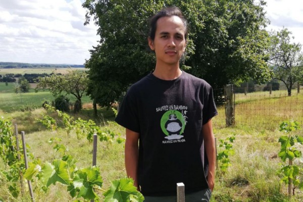 Une dizaine d’installations de vignerons dans les Ardennes