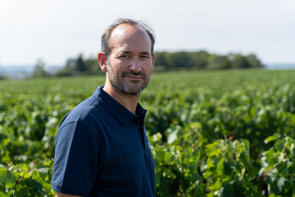 Un outil de transparence sociale pour l'emploi saisonnier dans le vignoble