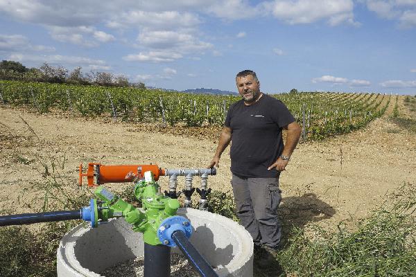  L'irrigation des vignes a permis de préserver les rendements