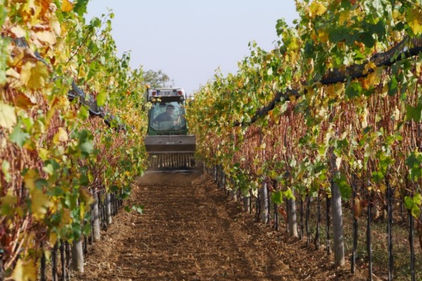 La crise du GNR ne génère pas trop de galères au vignoble