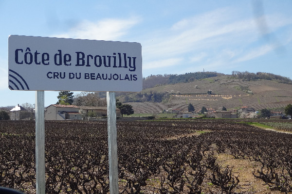 Les vins de Brouilly et Côte-de-Brouilly veulent aller plus haut