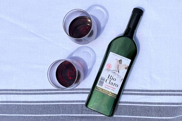 'L'immobilisme n'est plus possible' pour emballer les vins et les monopoles scandinaves