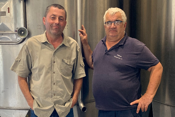 10 000 €/ha, la prime d'arrachage demandée par le vignoble de Bordeaux