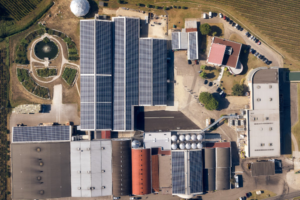 Grandes et petites actions pour la sobriété énergétique de la filière vin