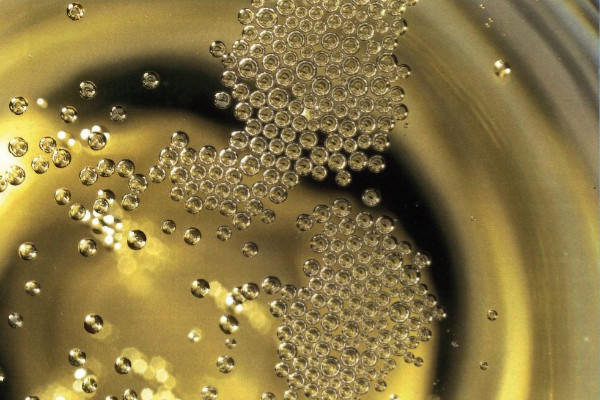 5 choses que vous ne saviez peut-être pas sur le champagne !    