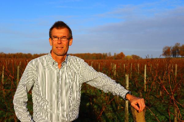'Le gobelet est le système de conduite des vignes le plus résistant au réchauffement'