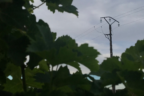 Précisions attendues sur le bouclier tarifaire pour l’électricité des entreprises en vins et spiritueux