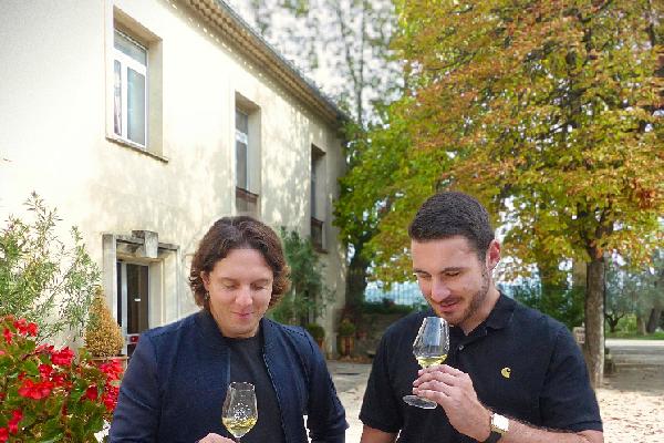 Les levures qui acidifient les vins sont imprévisibles