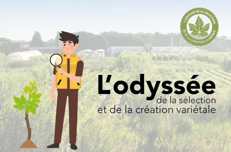 Course aux cépages et crossfit de la pépinière pour la fête de la science