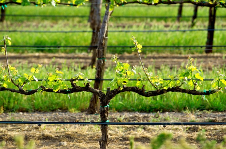 x12 pour la redevance irrigation payée par les vignerons ?