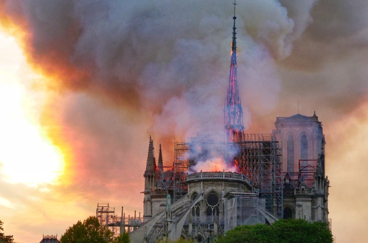 Hennessy donne 36 chênes pour reconstruire la flèche de Notre-Dame