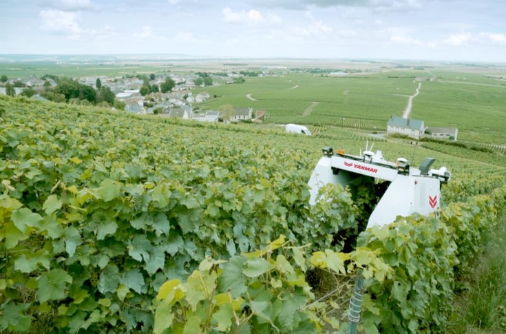 Ce chenillard traite les vignes et travaille les sols en toute autonomie