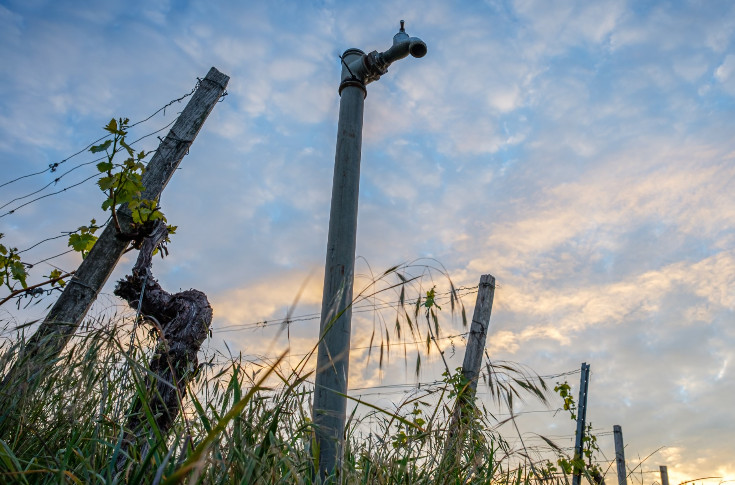 Le robinet de l’aide à l’investissement dans l’irrigation sera-t-il coupé pour le vignoble ?
