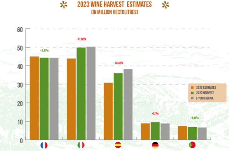 La France reprend à l’Italie la place de premier producteur mondial de vin