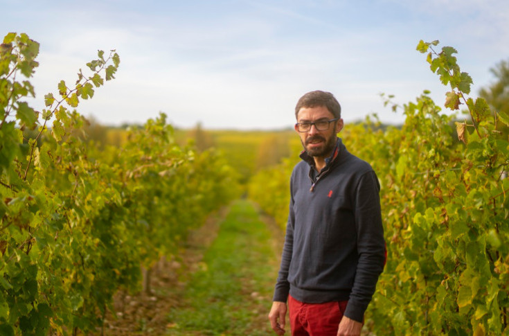 Le négoce Lacheteau, discret leader des vins de Loire (GCF)