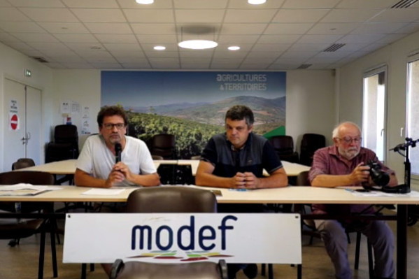 Le Modef ne veut pas d’arrachage de vignes, mais d’une garantie des prix du vin par l’État