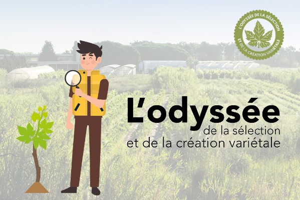 Course aux cépages et crossfit de la pépinière pour la fête de la science