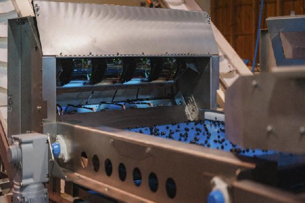  'Réglages simples, ergonomiques pour un tri de la vendange plus fin' le trieur optique Weco a tout pour plaire