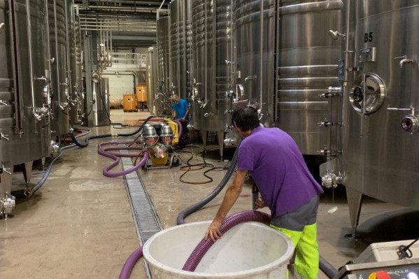 'Le négoce n'a aucun intérêt à ce que les prix du vin s’affaissent' en Languedoc