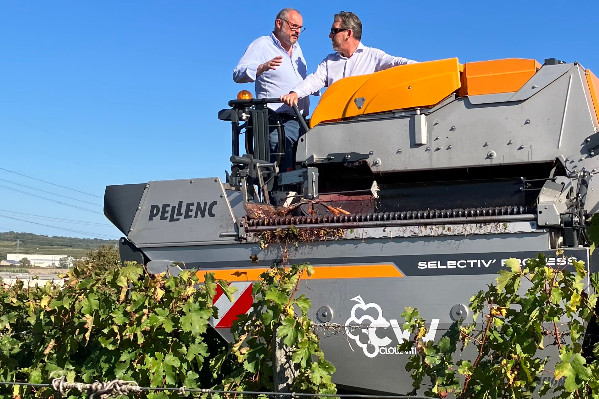 Le plan des vins du val de Loire pour rester dans une situation 'saine et équilibrée'