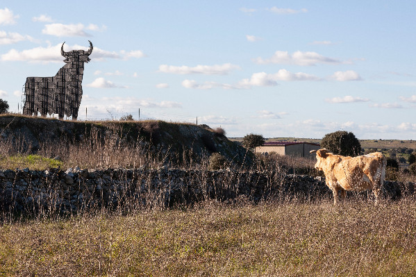 La France importe moins de vins en vrac espagnols et plus de Prosecco  