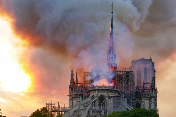 Hennessy donne 36 chênes pour reconstruire la flèche de Notre-Dame