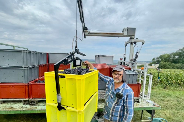  '1 500 caisses de 50 kg de vendanges soulevées sans effort'