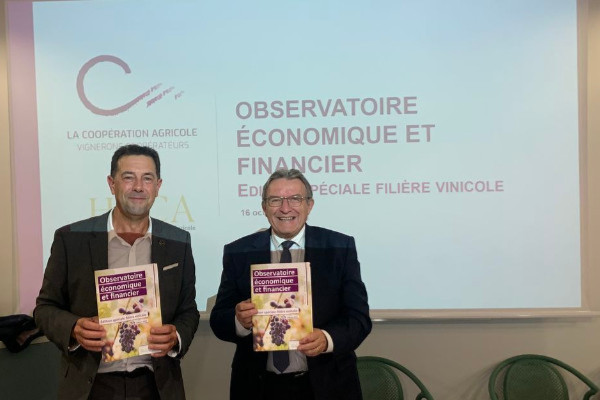 Un nouvel observatoire révèle la fragilité des coopératives viticoles