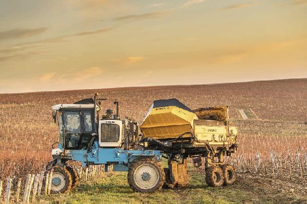 'J’y mets entre 4,5 et 5 t de compost de fumier', un épandeur XXL pour vigne étroite