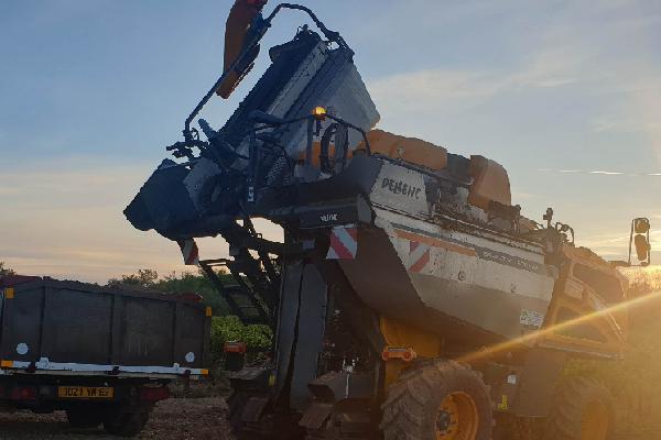 Les vignerons convaincus par la pesée en continu sur les vendangeuses Pellenc