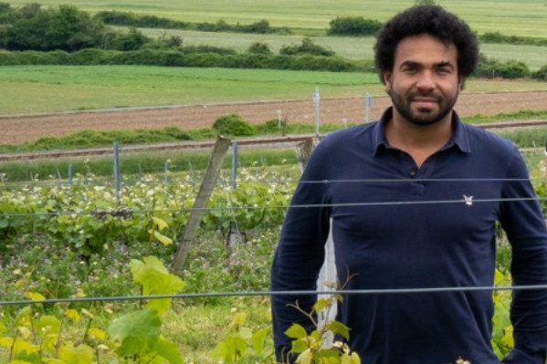 Les NGT dans le vignoble, un débat qui ne fait que commencer