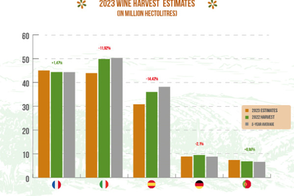 La France reprend à l’Italie la place de premier producteur mondial de vin