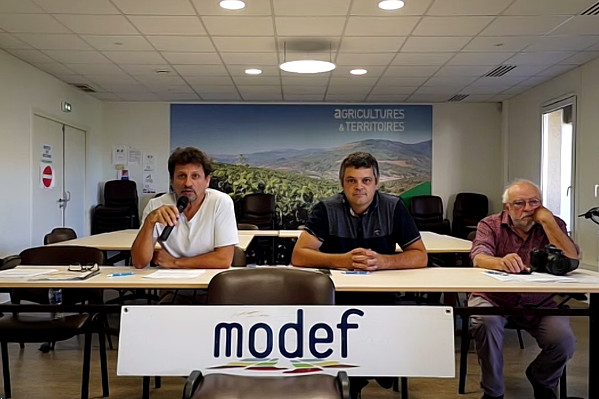 Sans prix minimum des vins, s’annonce 'une catastrophe sociale en viticulture'