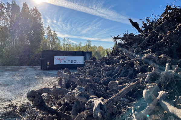 120 à 580 €/ha, la solution décarbonée pour ne pas brûler les pieds de vigne arrachés