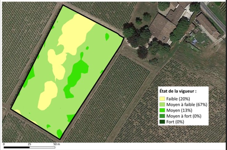 Une cartographie robotisée de la vigueur des vignes