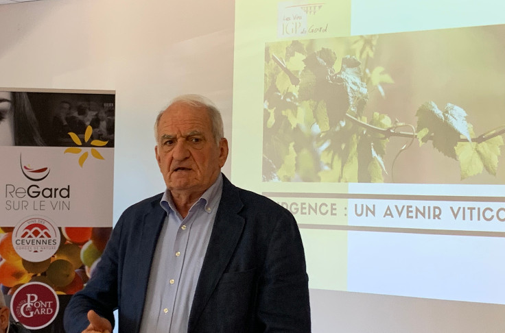 Dévasté par le mildiou, le vignoble gardois est préoccupé pour son avenir