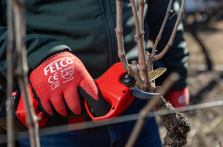 Nouveau venu dans la gamme des sécateurs viticoles Felco