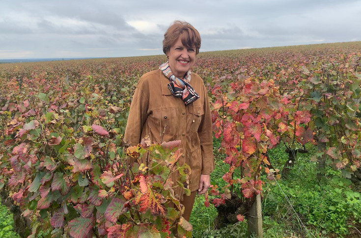 En Bourgogne, la ministre n’oublie pas les vignerons dans le dur