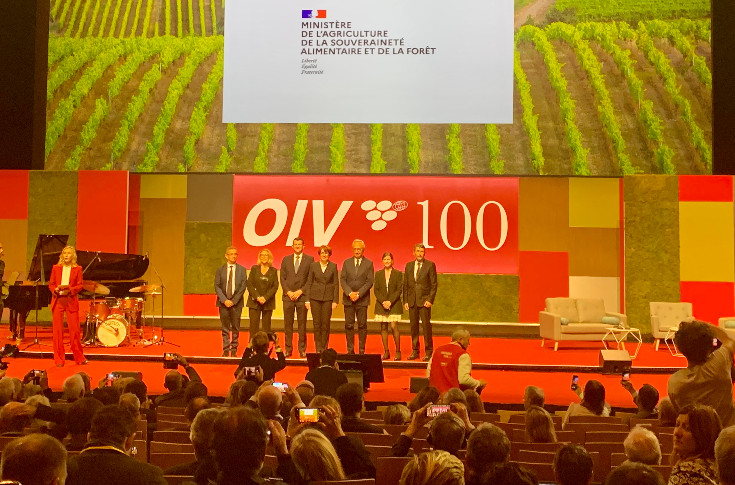 Une filière vin défiée mais pas défaite par l’avenir