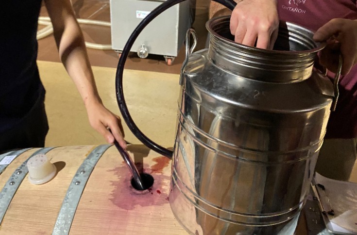 Du vin sans sulfites grâce aux fleurs de châtaignier