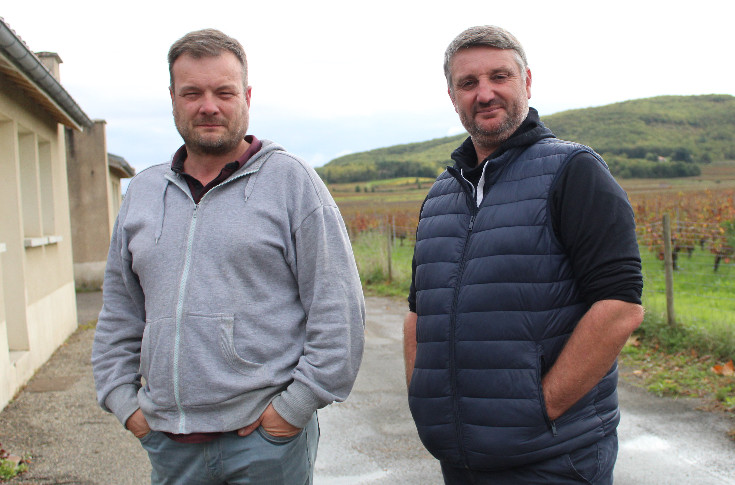 Les vignerons de Cahors face à la série noire des petits rendements