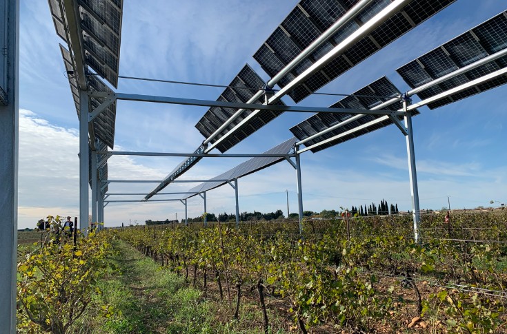 Premiers panneaux photovoltaïques sur vignes dans le Gard