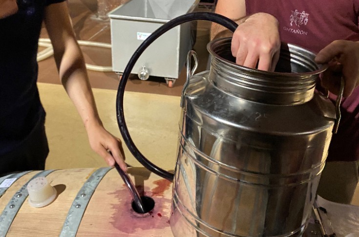 Sulphite-free wines using chestnut flowers Sulphite-free wines using chestnut flowers