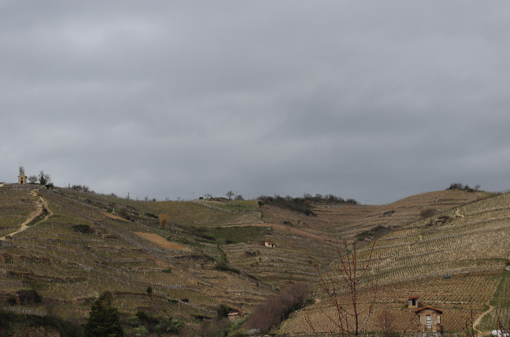 Les Côtes du Rhône septentrionaux se rêvent à l'Unesco