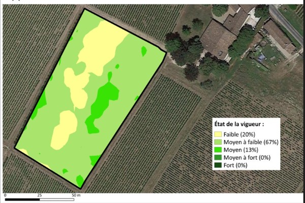 Une cartographie robotisée de la vigueur des vignes