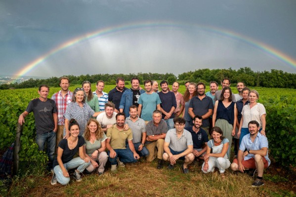 28 vignerons se serrent les coudes pour rester bio malgré le mildiou