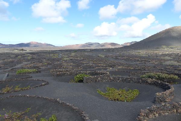 Lanzarote en Espagne, une île miraculeuse pour un vignoble spectaculaire