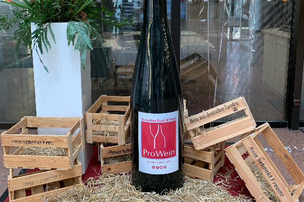 Le marché des vins allemands attend le 'rebond' économique de 2025 pour se relancer